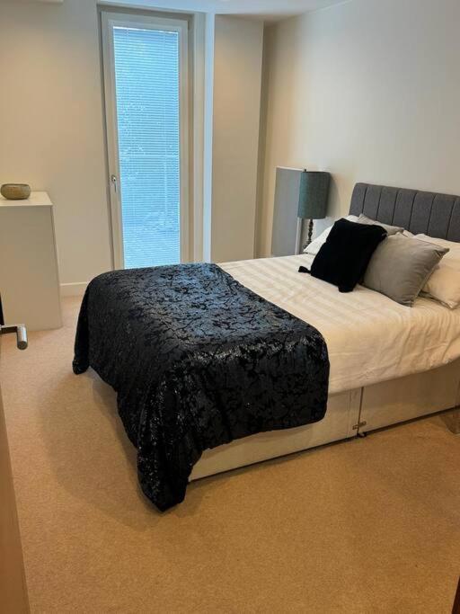 Modern Apt Cardiff City Centre - Prime Location Екстер'єр фото